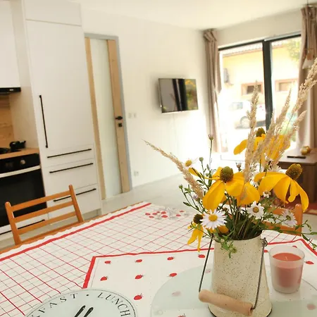 Ve Mlyne Апартаменты Trebotov