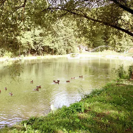 Апартаменты Ve Mlyne