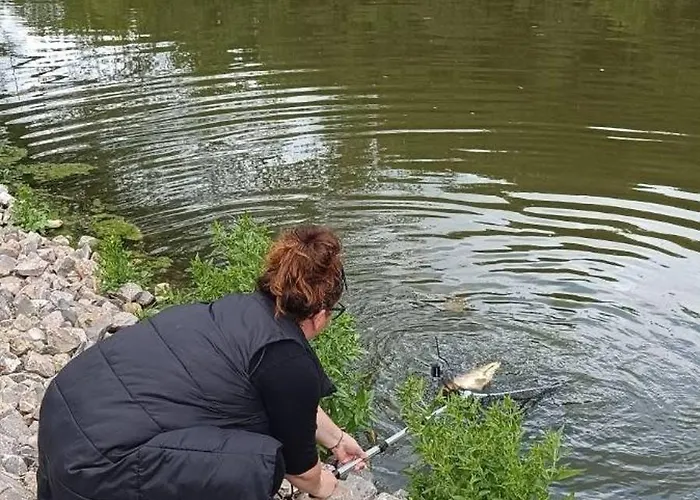 Apartment Ve Mlyne *